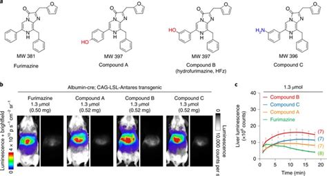 Two Luciferase Systems For High Brightness Two Color Bioluminescence