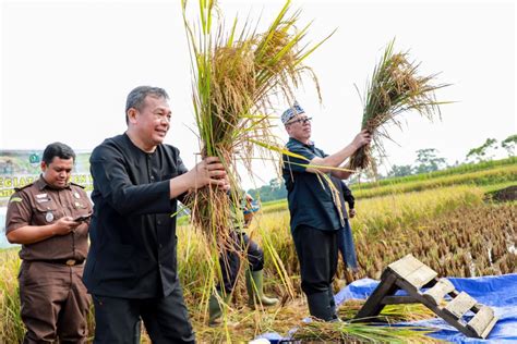 Cegah Kerugian Ribuan Hektar Sawah Di Purwakarta Diasuransi