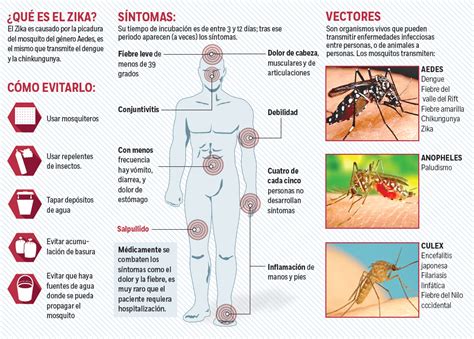 Llega al país el virus Zika reportan primer caso México Ambiental