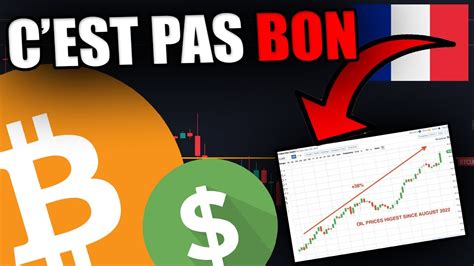 HOLDERS DE BITCOIN CE GRAPHE EST UN GROS AVERTISSEMENT YouTube