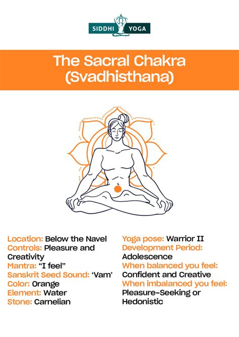 Los Siete Chakras Principales Explicados E Importancia Siddhi Yoga