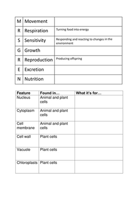 Life processes - MRS GREN and cells worksheet | Teaching Resources