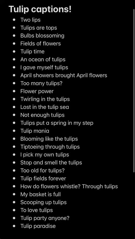 Tulip Captions For Instagram Facebook Pinterest Scottkruitbosch