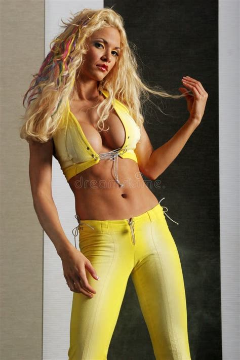 Reizvolle Blonde Frau Stockbild Bild Von Attraktiv Weiblich 4328151