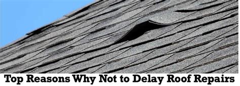 Top Reasons Why Not To Delay Roof Repairs Louisiana Roofing Contractor