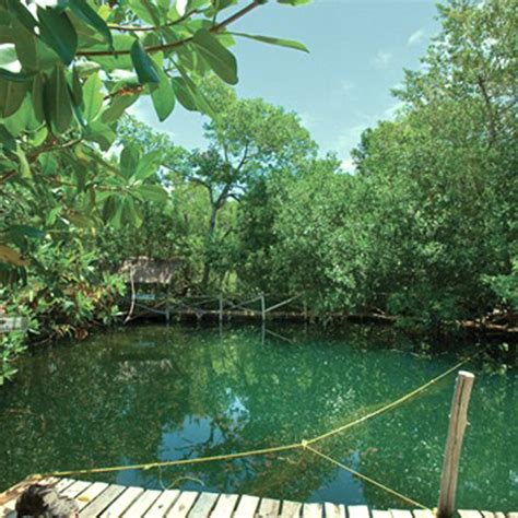 Maravillas Naturales en Yucatán Destinos México