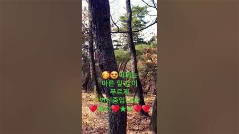 첫사랑장윤정😍🥰하루 온종일 그대 생각~~😍😍😍😍😍😍🤩🤩 Youtube