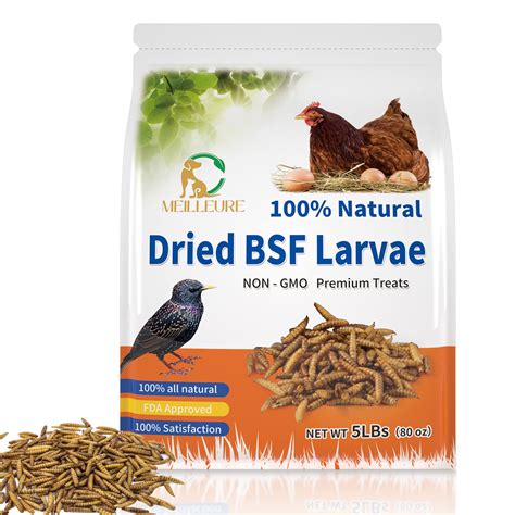 Buy MEILLEURE Dried Black Soldier Fly Larvae for Chickens 5LBS, 85X ...