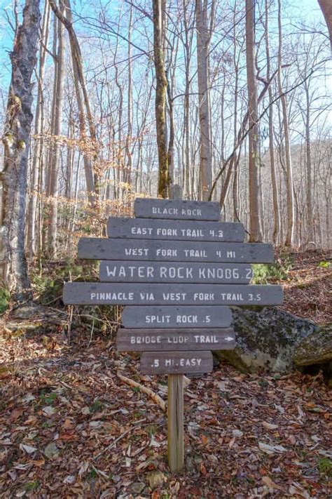 West Fork Trail In Pinnacle Park Sylva Nc Nancy East