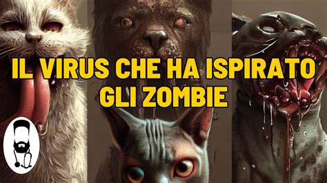 Il Virus Della Rabbia Un Pericolo Per Cani Gatti Ed Esseri Umani