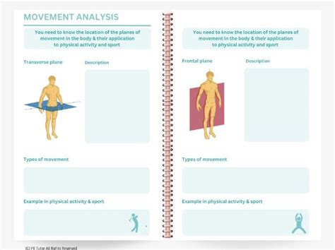 Aqa Gcse Pe Revision Worksheets Movement Analysis Teaching Resources