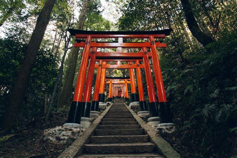 Fushimi inari taisha shrine in kyoto japan – Artofit