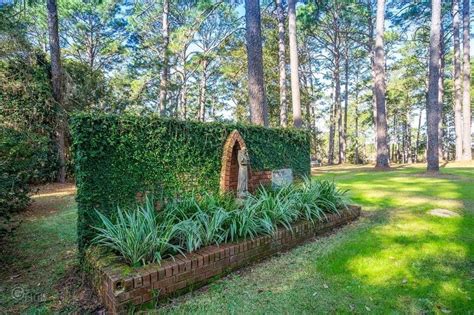 Pin By Janet Wofford On Arbors Fences Tree Plants Tree Trunk