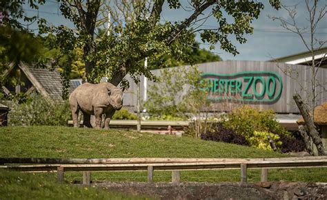 Chester Zoo Unveils 2030 Vision Including Vast Themed Zones Blooloop