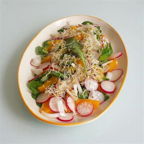 Ensalada de rabanitos naranja cebolla rúcula canónigos y brotes de