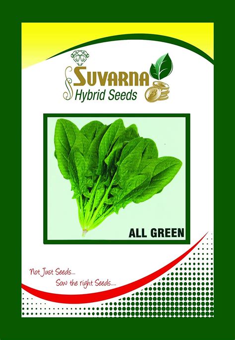 Palak All Green All Green F1 Hybrid 500 Gm Seeds Garden