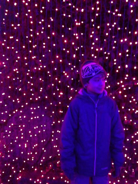 Zoolights at the Oregon Zoo #familytraditions #oregonzoo #zoolights ...