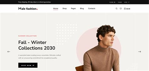 Reactjs Free Ecommerce Website Template Therichpost