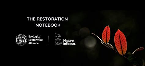 The Restoration Notebook | Nature inFocus