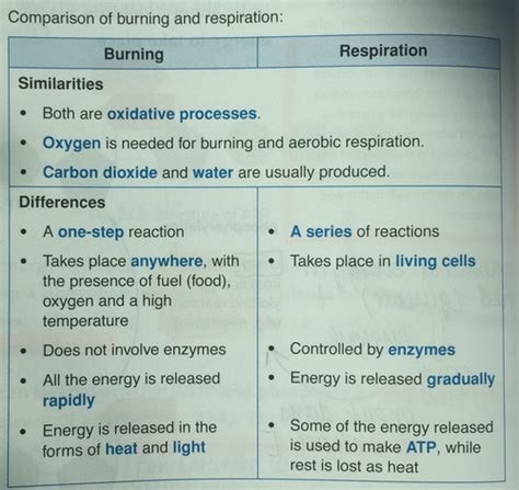 Respiration Flashcards Quizlet