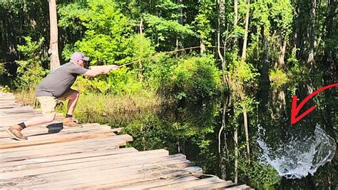 Fishing For BIG Panfish And BLUEGILL Bream With A Cane Pole Catch