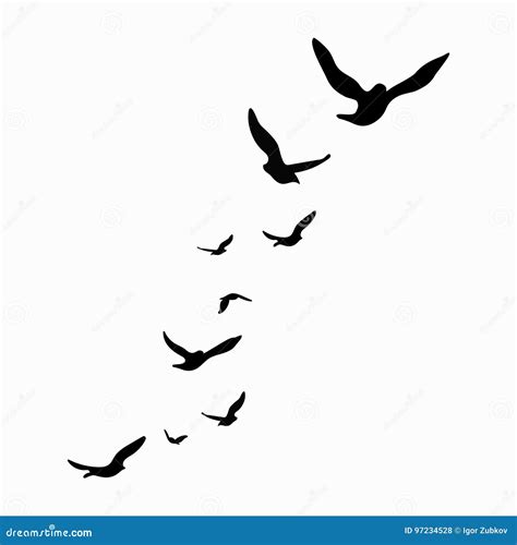 Silhouette of a Flock of Birds. Black Contours of Flying Birds Stock ...