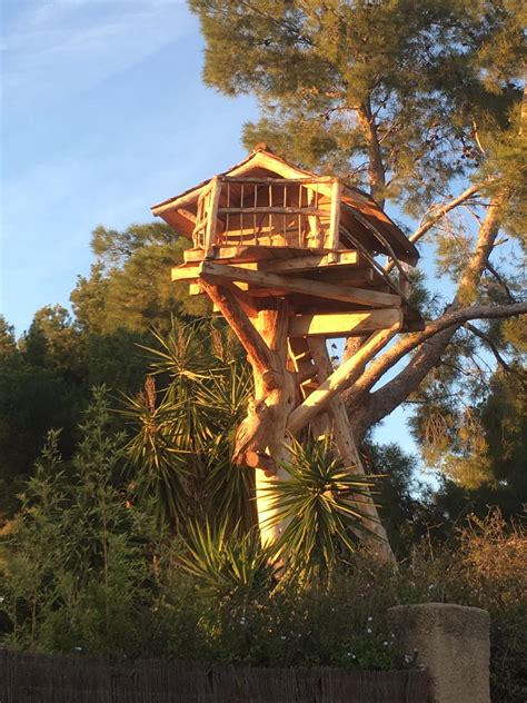 Casita De Madera En El Rbol Javier Gisbert Woodcarver