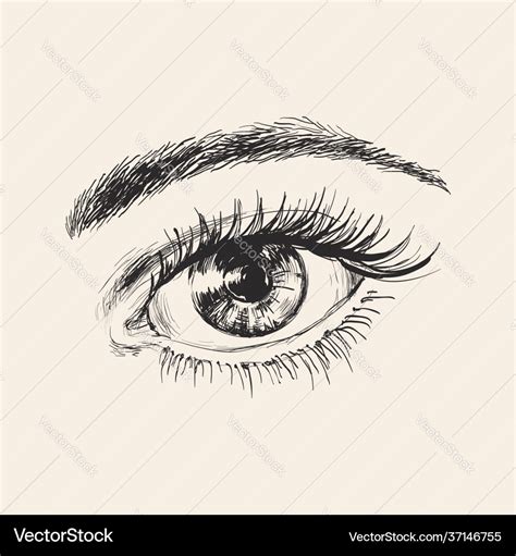 Beautiful Female Eye Hand Drawn Sketch Royalty Free Vector