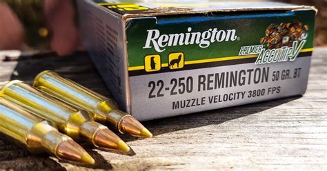 22 250 Remington