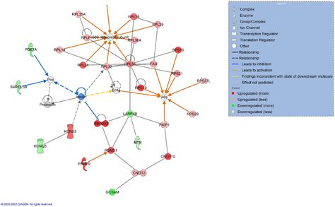 Characterization Of Monoclonal Gammopathy Of Undetermined Significance