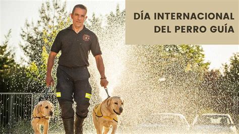 29 abril Día Internacional del Perro guía Revista Marketing