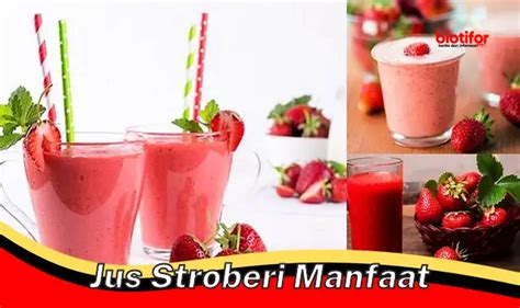 Temukan Manfaat Jus Stroberi Yang Jarang Diketahui Biotifor