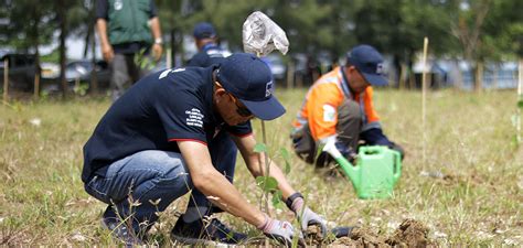 Planting Urban Trees Around the World with Microsoft - One Tree Planted