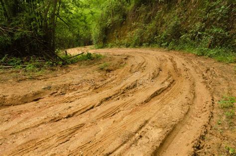 Muddy Dirt Road And Forest At Doi Pha Hom Pok Mountain In Thailand