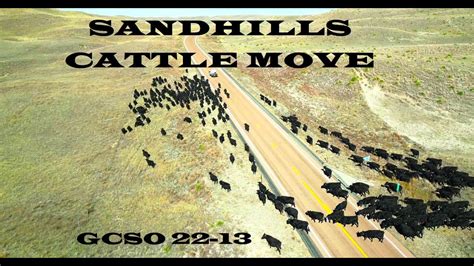 Sandhills Cattle Drive GCSO 22 13 Fly With Mike YouTube