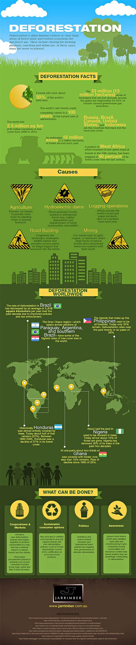 Infographic About Deforestation