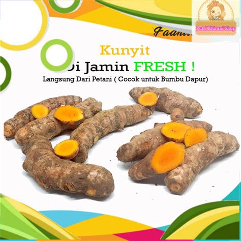 Kunyit Kunir Kuning 1 KG Segar Fresh Alami Original Bumbu Obat Magh The