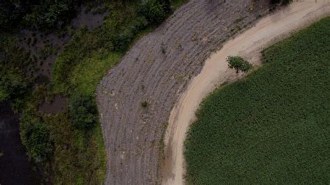 Restauração Florestal em propriedades rurais 6 técnicas eficazes H2A