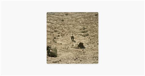 Album Available for Pre-Order in Australia "Noonday Dream" : benhoward