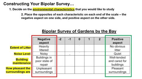 Constructing Your Bipolar Survey YouTube