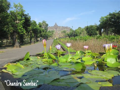 Candi Borobudur Backpacker Alam Dan Sejarah