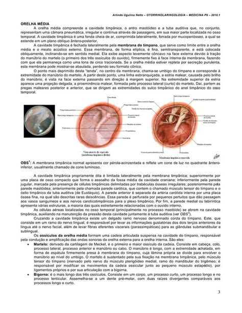 Semiologia Otorrinolaringologia Proped Utica Orl Pdf Pdf