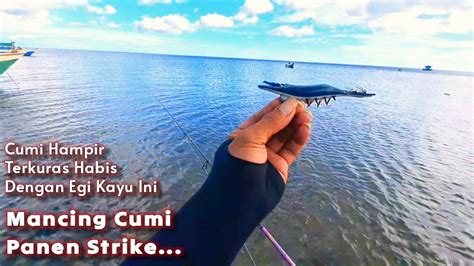 Auto Panen Strike Cumi Nyambar Egi Tanpa Henti Mancing Cumi Di