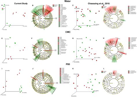 Sex Differences In Microbiota In Mice Treated With Dietary Emulsifiers Download Scientific