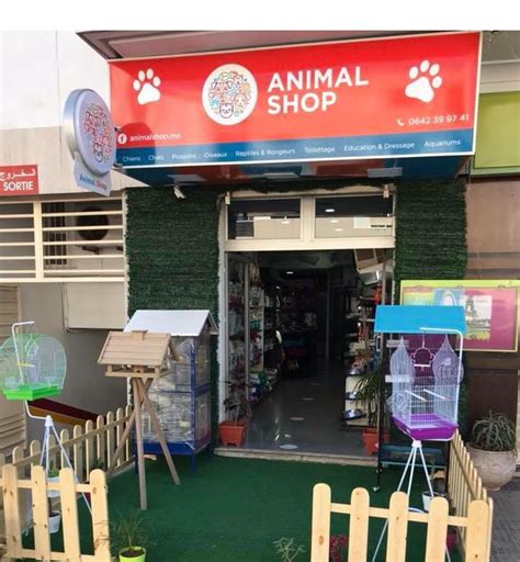 Magasins Animal Shop Animalerie Au Maroc