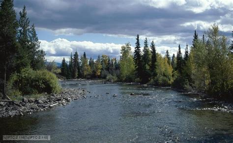 bbc nature rivers  streams  news  facts