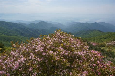 Sobaeksan National Park | South Korea 대한민국 | Outdoors Korea