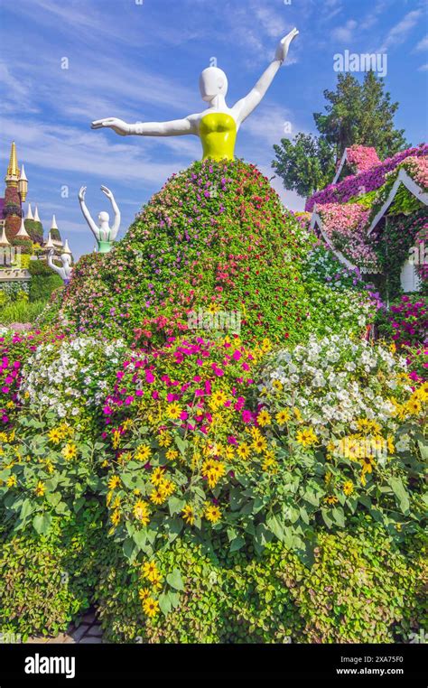 The Dubai Miracle Garden Colorful Flower Park United Arab Emirates