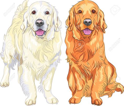 Golden Retriever Printable Watercolor Dog Golden Retriever Clip Art ...