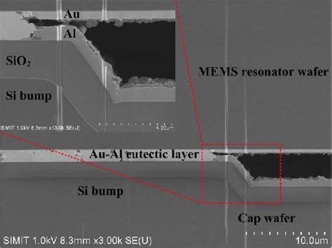 Fib Cross Sectional Sem Image Of The Silicon Bumps And The